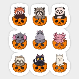 Cute Animals In Pumpkin Pack Sticker